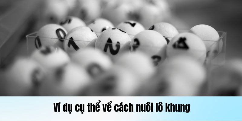 Ví dụ cụ thể về cách nuôi lô khung được nhiều người quan tâm